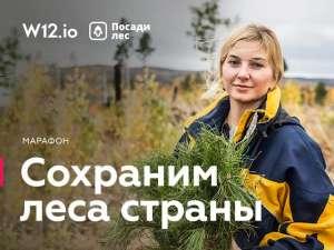 Стартовал всероссийский марафон “Сохраним леса страны”