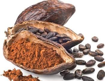 измельченные какао бобы